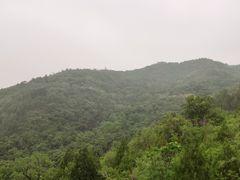 -北京鹫峰国家森林公园