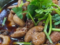 烧肥肠-天一沾水肥肠(科园一街店)