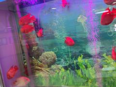 -雅悦齿科(顾村公园店)