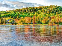 -五营红松林海景区