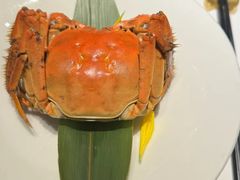 -觀芷隐轩
