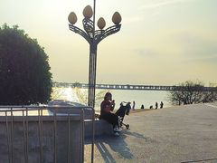 -宝安西湾红树林湿地公园