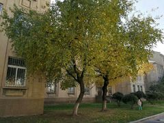 -辽宁大学(崇山校区)