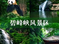 -碧峰峡风景区