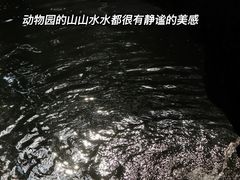 -杭州动物园