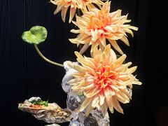 -蟹犇•帝王蟹雪蟹(陆家嘴店)