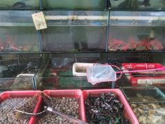 水产区-巽东海鲜大排档(巽寮湾店)