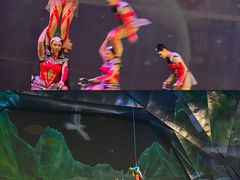-重庆国际马戏城