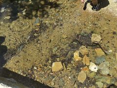 -金龙寺国家森林公园