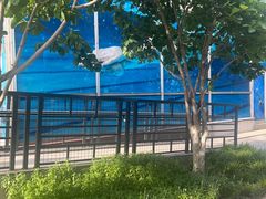 -北京八中游泳馆