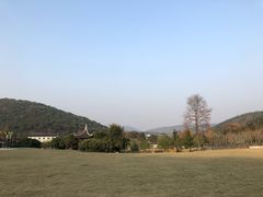 -龙寺生态园