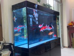 -悦颜美佳·美容·美甲美睫