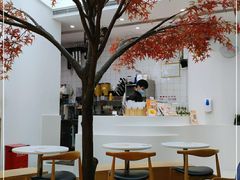 -艾薯夫妇Aysh(福田星河COCOPark店)