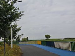 -贡湖湾湿地公园