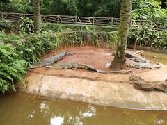 -海南热带野生动植物园