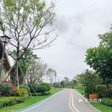 这个汽车营地实在太赞太舒服了