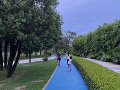 -深圳人才公园