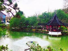 -上海醉白池公园