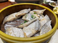 -涌上外婆桥(岱山日达店)