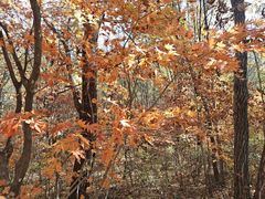 -本溪老边沟风景区