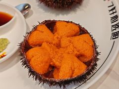-常鲜楼常来尝鲜海胆馆(星海店)