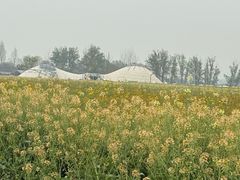 -中国天府农业博览园