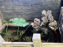 -知足堂养生会所(碑亭巷店)