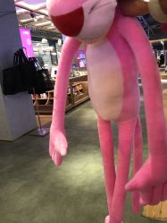 -好看加白色房子