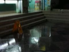 -九里香奶茶果汁(碧湖店)