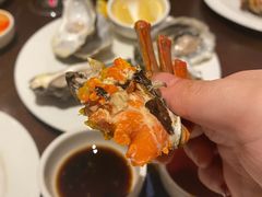 -Social 秀西餐厅-长沙瑞吉酒店(运达店)