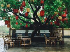 -同里国家湿地公园