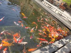 -番禺宾馆丽苑厅