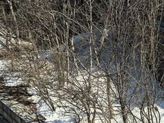 -华夏良子·足道SPA艾灸(龙潭路店)