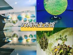 -梅州天地人花园酒店(梅县人民广场店)