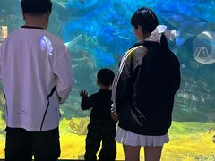 -烟台海昌鲸鲨海洋公园