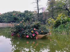 -人民公园(罗湖区)