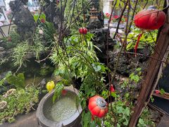 -海韵人家.海景花园经典云南菜(双廊店)