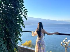 -野菌皇海景野生菌火锅(滨海大道店)