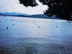 -西湖游船