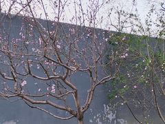 -建国门(地铁站)