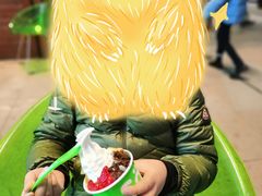 -Salud撒露欧洲冻酸奶(蓝色港湾店)