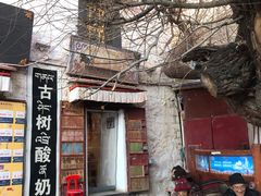 门面-古树酸奶(八廓南街店)