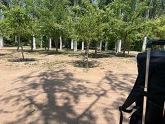 -乌素图国家森林公园