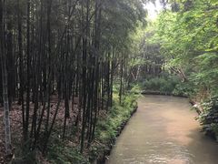 -同里国家湿地公园