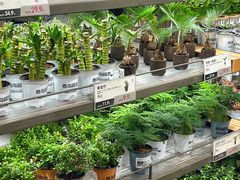 -鹿岛生活(熙地港店)