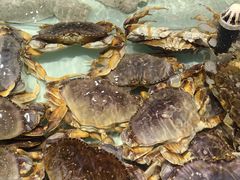 -万龙洲海鲜(大兴绿地缤纷城店)