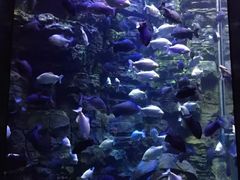 -成都浩海立方海洋公园