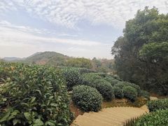 -西湖风景区十里琅珰-五云山