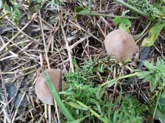 景点-汉长安城未央宫国家考古遗址公园