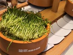 -龍歌自助小火锅(崂山丽达店)